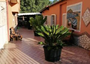 un patio con macetas frente a un edificio en Residence daniele ATTICO VISTA MARE, en Borgo Sabotino
