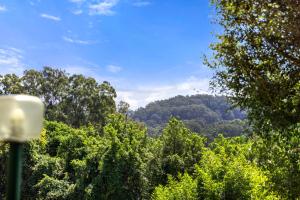 a view of a forest of trees in the distance at Sanctuary Resort Motor Inn in Coffs Harbour