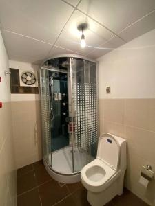 ein Bad mit einem WC und einer Glasdusche in der Unterkunft Apartamento en la Av. Arce in La Paz