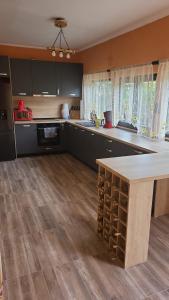 a kitchen with a counter and a counter top at CABANA ADAM SI EVA in Gura Râului