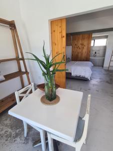 une table blanche avec une plante dans une pièce dans l'établissement Karoo Retreat- Self Catering Villas and Bed & Breakfast, à Oudtshoorn