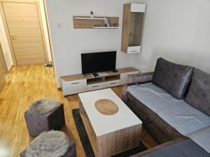 uma sala de estar com um sofá e uma televisão em REA em Pasuljište