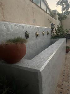 a stone bench with a plant in a pot at Riad Meyssane Fès in Fez