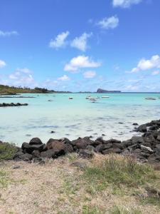 En strand vid eller i närheten av lägenheten