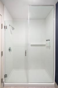 W łazience znajduje się prysznic ze szklanymi drzwiami. w obiekcie Fairfield Inn Charlotte Mooresville Lake Norman w mieście Mooresville