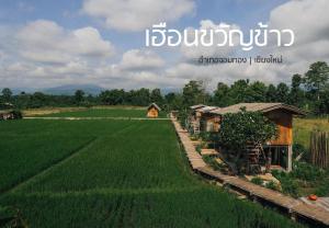 a farm in the middle of a field with a house at hueankwankao เฮือนขวัญข้าว in Ban Nong Hoi