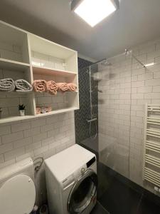 La petite salle de bains est pourvue d'une douche et de toilettes. dans l'établissement Martin’s flat in the city centre, à Ljubljana