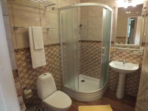 a bathroom with a shower and a toilet and a sink at Villa Žvejų 29 in Palanga +24 photos