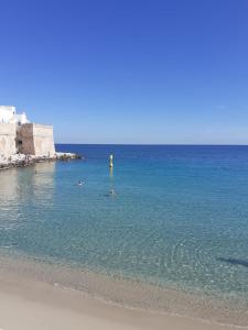 a person standing in the water at the beach at Carpe Diem B&B e Case Vacanza in Monopoli