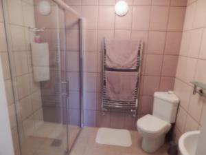 a bathroom with a shower with a toilet and a sink at The Old Barn Bed & Breakfast in Chathill