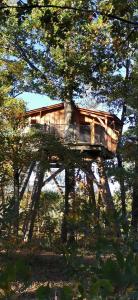 uma casa na árvore no topo de uma árvore em Les Cabanes de Fontfroide em Saint-Antoine