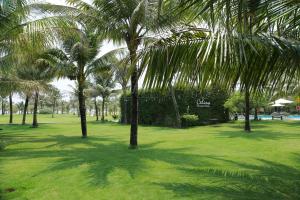 a group of palm trees in a grass field at Celina Peninsula Resort Quảng Bình in Dương Cảnh