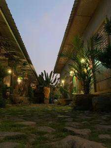 a courtyard with plants in a building at night at Vin vin in Ubud