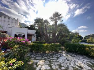 un jardín con una palmera y un edificio en Casa Sonia en Ischia
