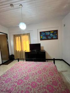 1 dormitorio con cama rosa y escritorio en Aladino Hostel, en Dasmariñas