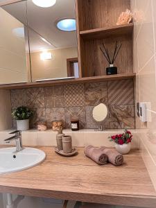 a bathroom counter with a sink and a mirror at Apartmán NIKLAN in Rožnov pod Radhoštěm