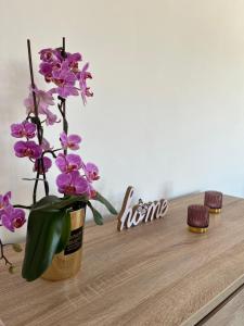 Fotografie z fotogalerie ubytování Apartmán NIKLAN v Rožnově pod Radhoštěm