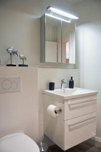 een badkamer met een wastafel, een toilet en een spiegel bij Ferienwohnung Ankerplatz 54 Nord in Glücksburg