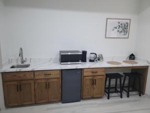 eine Küche mit einer Theke mit einer Spüle und einer Mikrowelle in der Unterkunft 1 Bedroom suite close to Bert Ogden arena in Edinburg