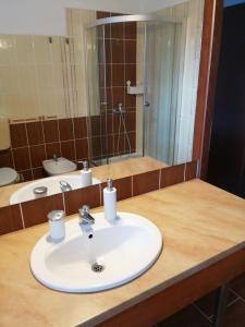 a bathroom counter with a sink and a mirror at Pensiunea Transilvania Lodge in Bran