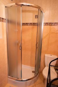a shower stall in a bathroom with a toilet at Śleboda wynajem pokoi Ewa Satoła in Biały Dunajec