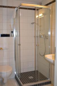 a shower with a glass door in a bathroom at Aparthotel Sprendlingen in Sprendlingen