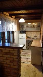 una cucina con piano di lavoro in una camera di EKOLANDIA domek w lesie na wyłączność a Tuszkowy