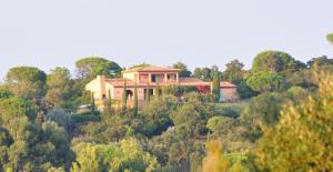une maison au sommet d'une colline avec des arbres dans l'établissement Villa élégante à Ramatuelle + Piscine, à Ramatuelle 11 autres photos