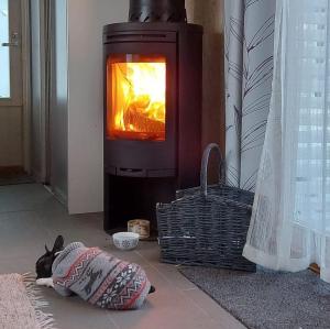 a dog laying on the floor in front of a stove at Mini house Imatra with own garden in Imatra