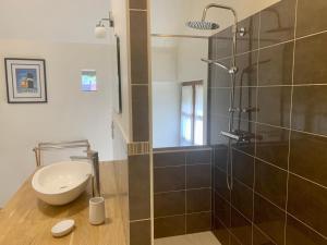 a bathroom with a shower with a toilet and a sink at L'appartement du Pont de Cause in Saint-Cybranet