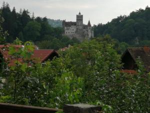 ブランにあるPensiunea Transilvania Lodgeの木々や建物が並ぶ丘の上の城