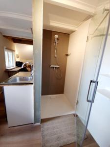 a small bathroom with a shower and a sink at Bed en stal 'Het Woudhuisje' in Ryptsjerk