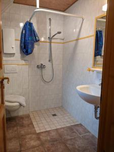 uma casa de banho com um chuveiro, um WC e um lavatório. em Ferienhaus Waldschlösschen em Gelting