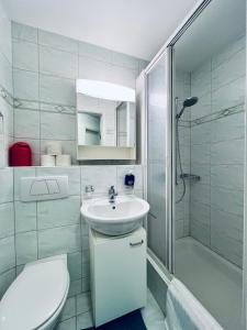 ein Bad mit einem WC, einem Waschbecken und einer Dusche in der Unterkunft Casa Lilly - CharmingStay in Flumserberg