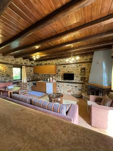 a large living room with couches and a fireplace at Suites Mouses in Palaios Agios Athanasios