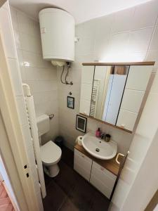 La salle de bains est pourvue de toilettes, d'un lavabo et d'un miroir. dans l'établissement Paula’s cosy place in the center of Ljubljana, à Ljubljana