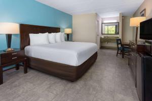 um quarto de hotel com uma cama e uma televisão em Travelodge by Wyndham Kingsland GA em Kingsland