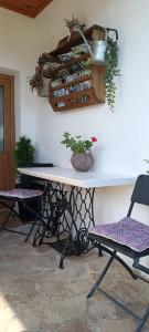 a table with two chairs and a potted plant on it at House Albena in Durankulak