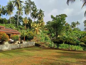 a yard with palm trees and a house at Sinharaja Villa in Pitabeddara
