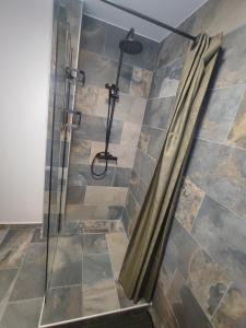 een douche met een glazen deur in de badkamer bij T3 ISIS APPART - Quartier Hauts Vallons in Mamoudzou