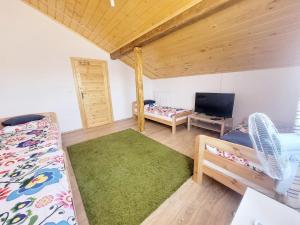 a living room with two beds and a television at Apartamenty i pokoje gościnne pod lasem in Nadarzyn
