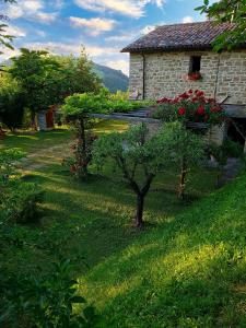 un jardín con una casa con un árbol en el patio en Marzanella, en Tredozio
