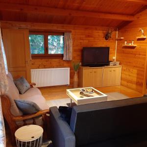 a living room with a couch and a tv at Chalet 't Musje in Durbuy