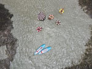 Vue de tête d'un groupe de planches de surf dans l'eau dans l'établissement Le Martin Boutique Hôtel, à Saint-Martin