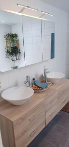 uma casa de banho com 2 lavatórios e um espelho grande em LodgeRivierenhof em Antuérpia