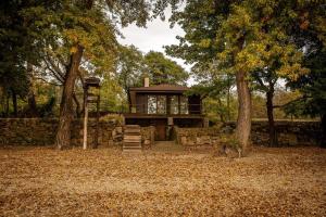 a tiny house in the woods with trees at Golden Beach Apartment in Chlʼaba