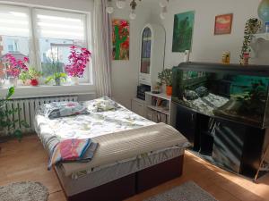 a room with a bed and a fish tank at Safari house - dom podróżnika in Gdynia