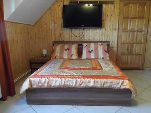 ワルシャワにあるDworek w Zieleniのベッドルーム1室(ベッド1台、壁掛けテレビ付)