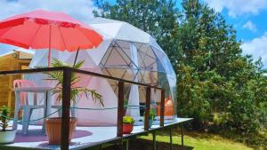 a dome tent with a plant and a red umbrella at El Alpino Cabaña Glamping & Camping in Guatavita