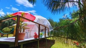 una casa en una cúpula en un jardín con una palmera en El Alpino Cabaña Glamping & Camping en Guatavita